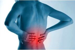 The focus of spinal osteochondrosis