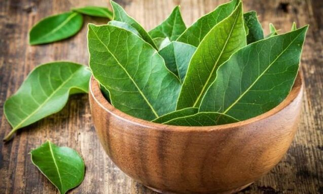 Bay leaves for the preparation of a decoction that relieves knee swelling with arthrosis